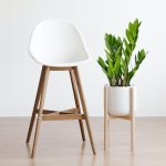 Zamiokulkas zamiolistny (Zamioculcas zamiifolia) 50cm