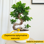 Ziemia do bonsai 5l