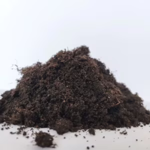 Ziemia do palm juk i dracen Biovita