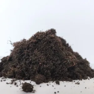 Ziemia do palm juk i dracen Biovita