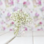 Gipsówka żywa biała gotowy bukiet średni