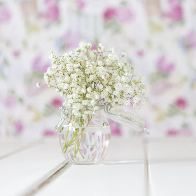 Gipsówka żywa biała gotowy bukiet średni