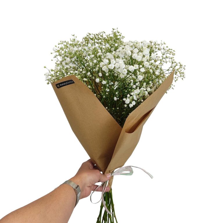 Gipsówka żywa biała gotowy bukiet średni