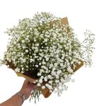 Gipsówka żywa biała gotowy bukiet średni