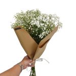 Gipsówka żywa biała gotowy bukiet średni