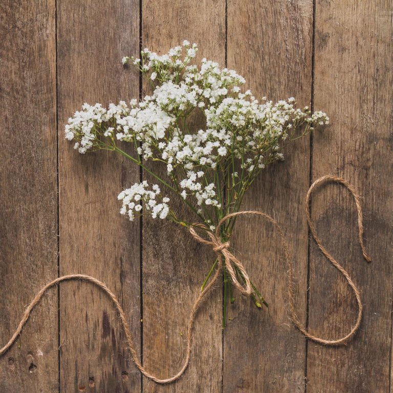 Gipsówka żywa biała gotowy bukiet średni