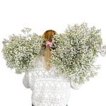 Gipsówka żywa biała gotowy bukiet średni