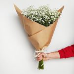 Gipsówka żywa gotowy bukiet Biały duży