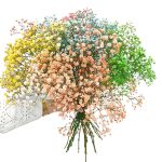 Gipsówka żywa gotowy bukiet kolorowy duży