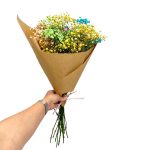 Gipsówka żywa kolorowa gotowy bukiet średni