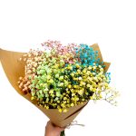 Gipsówka żywa kolorowa gotowy bukiet średni