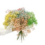 Gipsówka żywa gotowy bukiet kolorowy duży
