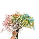 Gipsówka żywa kolorowa gotowy bukiet średni