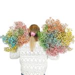 Gipsówka żywa kolorowa gotowy bukiet średni