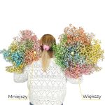 Gipsówka żywa gotowy bukiet kolorowy duży