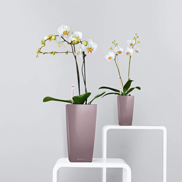 DONICA LECHUZA MAXI CUBI 14x26cm BIAŁY