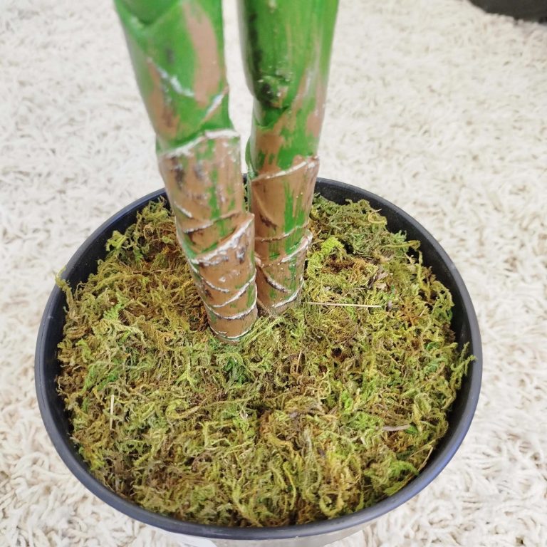 Alokazja sztuczna roślina 100cm