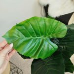 Alokazja sztuczna roślina 100cm