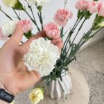 Bukiet kwiatów ciętych - kolorowe goździki