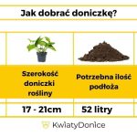 Doniczka plastikowa Lechuza Cararo czerwona
