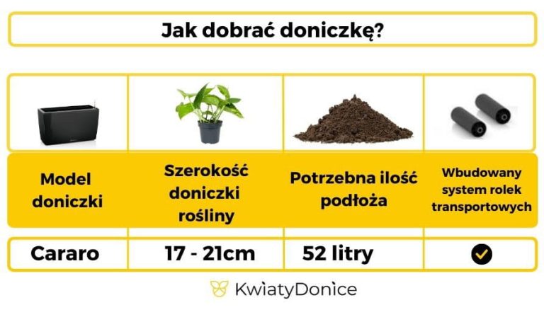 Doniczka plastikowa Lechuza Cararo czarny