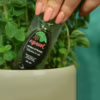 HERBA STRONG odżywka nawóz do ziół  30ml  ampułka