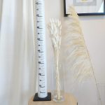 Dmuszek jajowaty suszony biały (Lagurus)