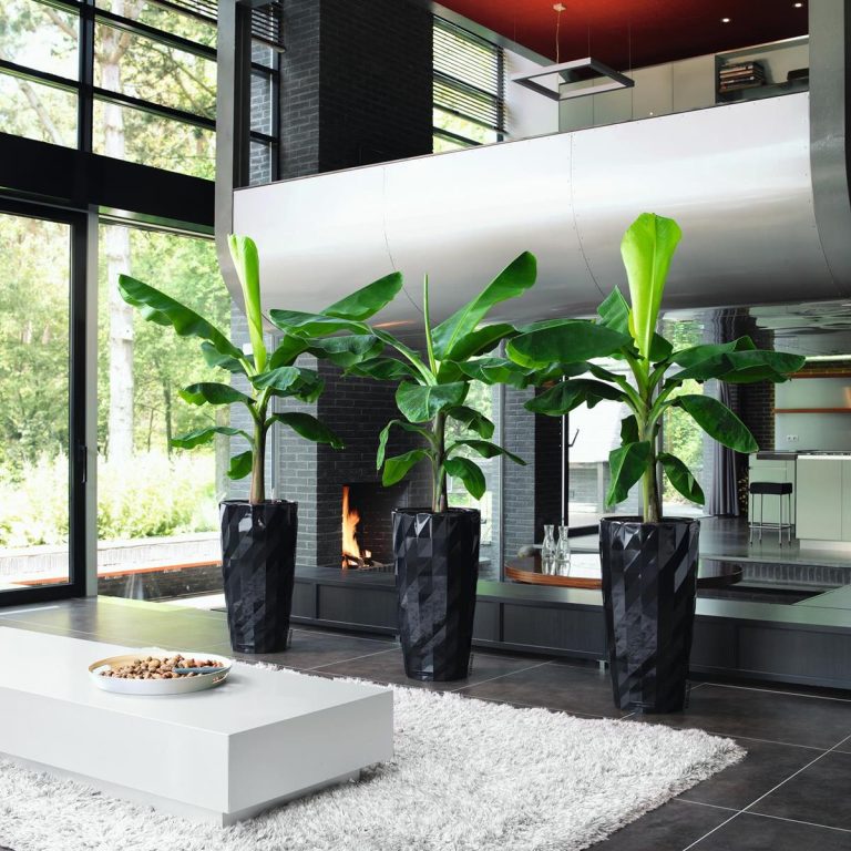 Doniczka plastikowa Lechuza  Diamante Czarny