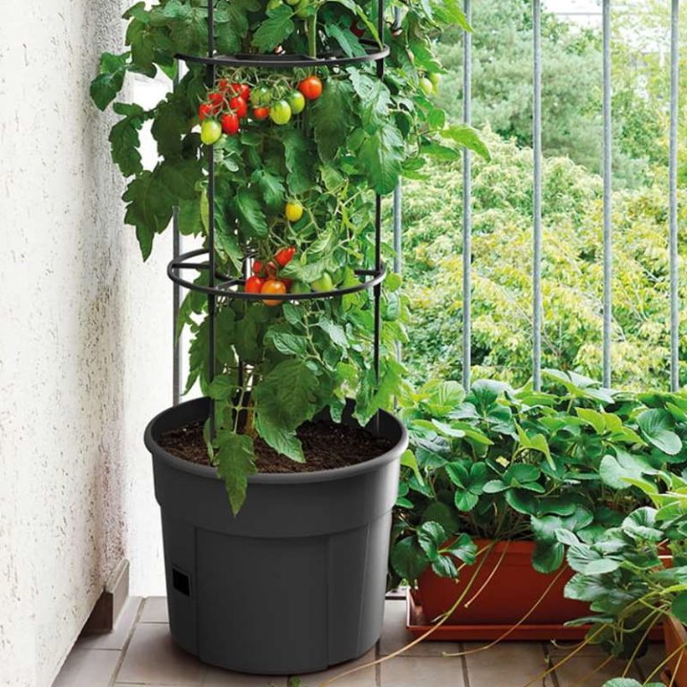 Doniczka ze stojakiem na pomidory 12l
