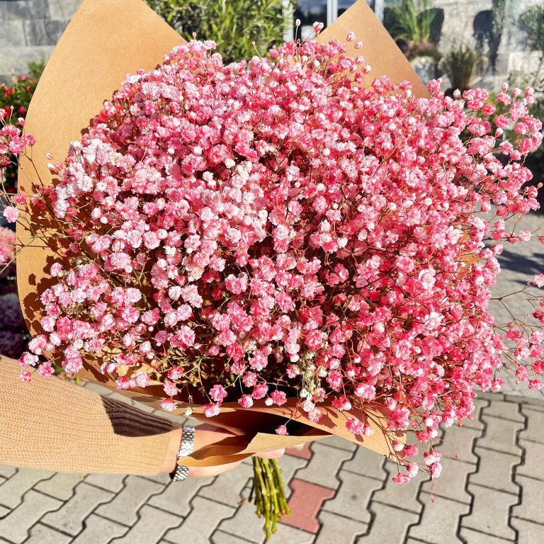 Gipsówka żywa gotowy bukiet różowy duży