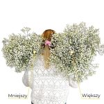Gipsówka żywa biała gotowy bukiet średni