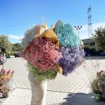 Gipsówka żywa gotowy bukiet fioletowy duży