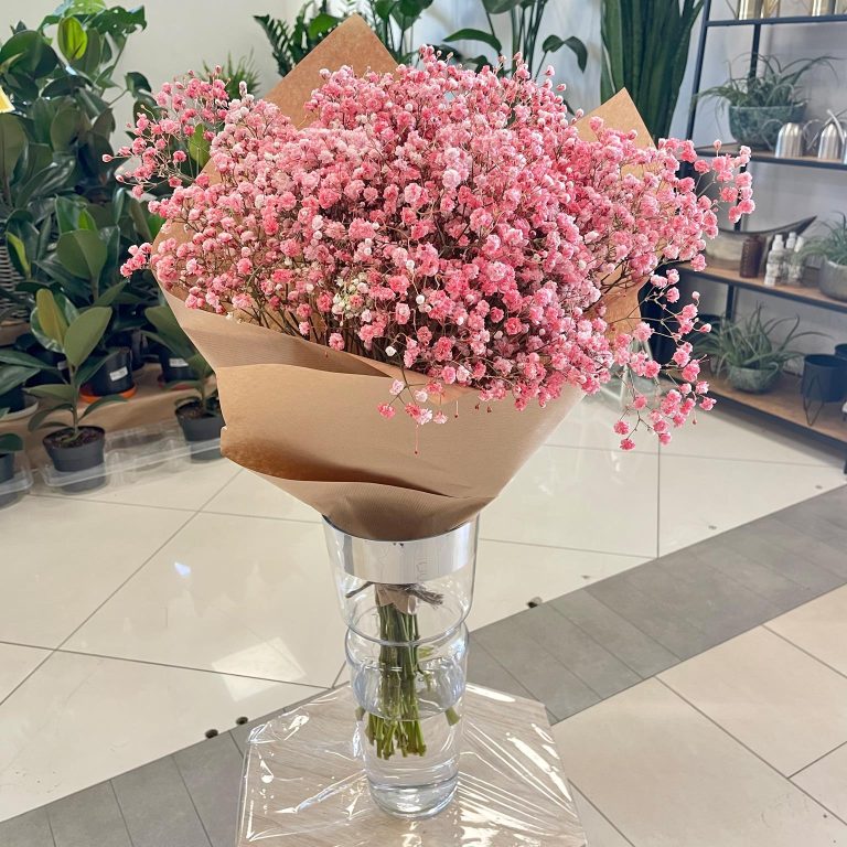 Gipsówka żywa gotowy bukiet różowy duży