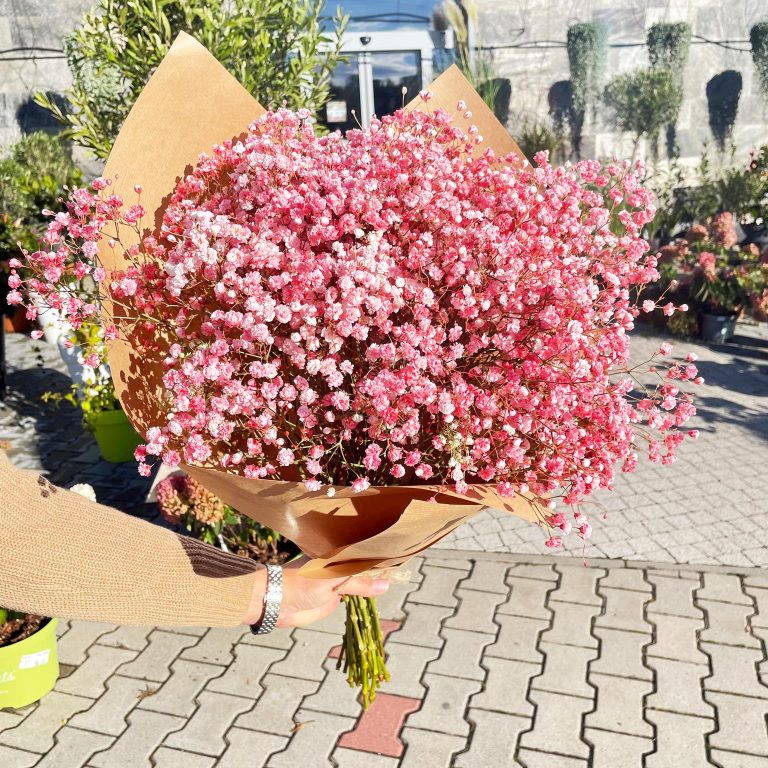 Gipsówka żywa gotowy bukiet różowy duży