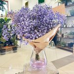 Gipsówka żywa gotowy bukiet fioletowy duży