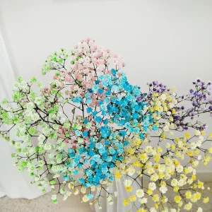 Gipsówka stabilizowana wiecznie żywa kolorowa mały bukiet