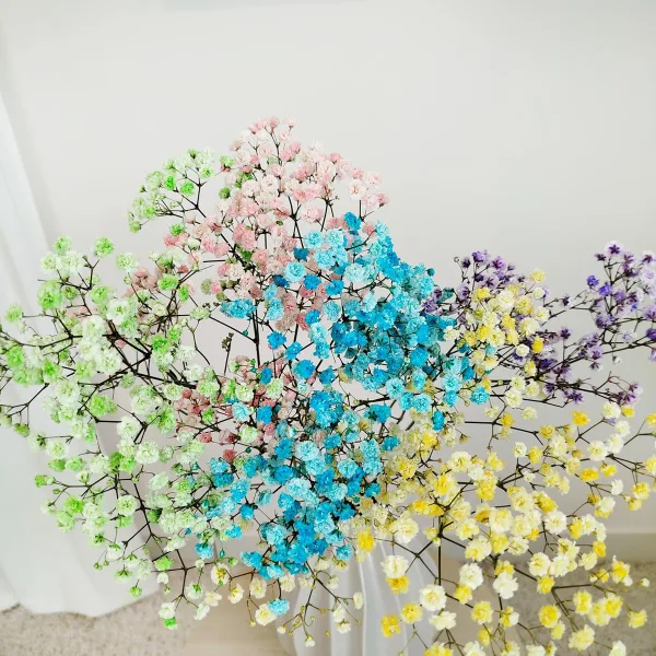 Gipsówka stabilizowana wiecznie żywa kolorowa mały bukiet