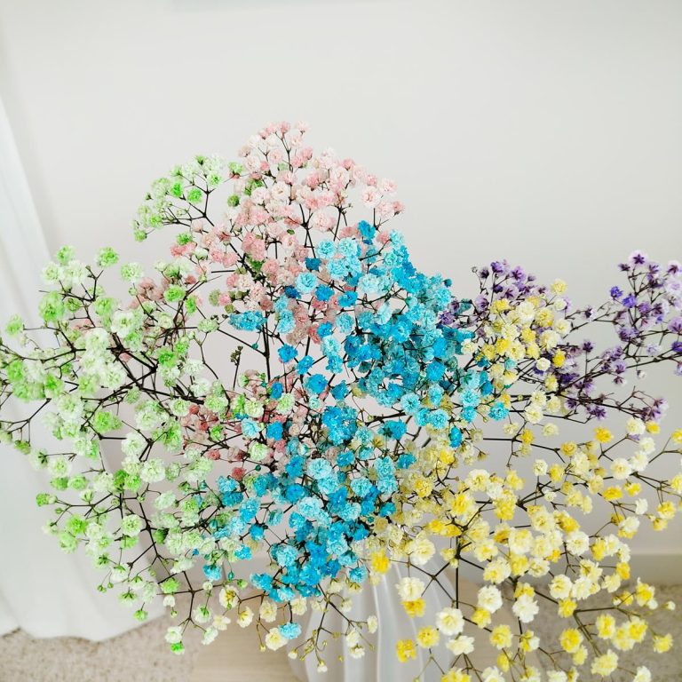 Gipsówka stabilizowana wiecznie żywa mix kolorów mały bukiet