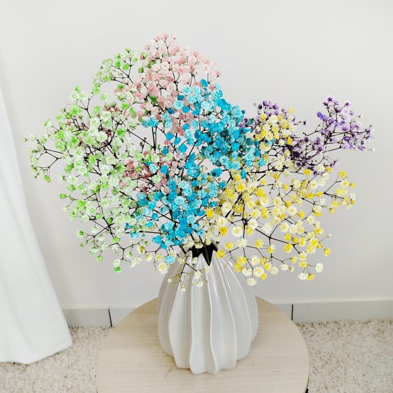 Gipsówka stabilizowana wiecznie żywa mix kolorów mały bukiet