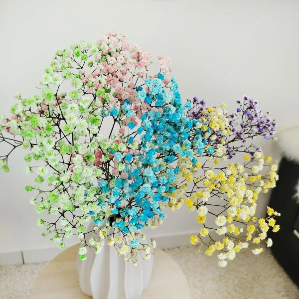 Gipsówka stabilizowana wiecznie żywa kolorowa mały bukiet