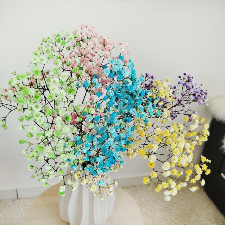 Gipsówka stabilizowana wiecznie żywa mix kolorów mały bukiet