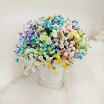 Gipsówka stabilizowana wiecznie żywa mix kolorów mały bukiet