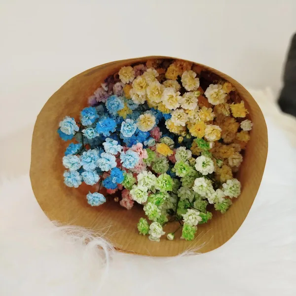 Gipsówka stabilizowana wiecznie żywa kolorowa mały bukiet