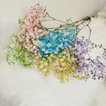 Gipsówka stabilizowana wiecznie żywa mix kolorów mały bukiet