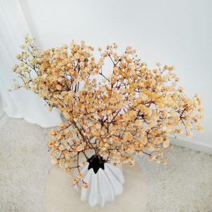 Gipsówka stabilizowana wiecznie żywa pomarańczowa mały bukiet