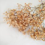 Gipsówka stabilizowana wiecznie żywa pomarańczowa mały bukiet