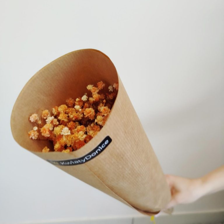 Gipsówka stabilizowana wiecznie żywa pomarańczowa mały bukiet