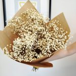 Gipsówka stabilizowana wiecznie żywa biała duży bukiet