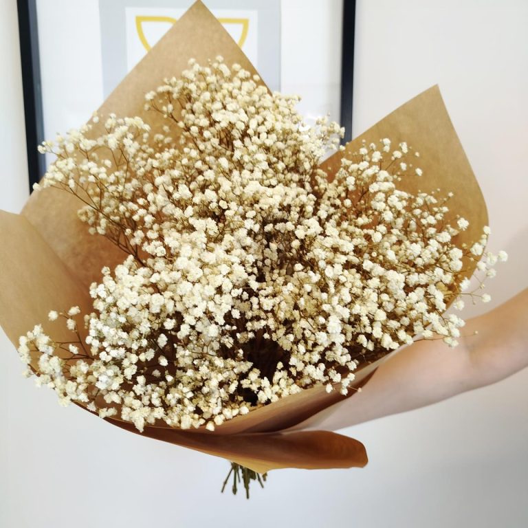 Gipsówka stabilizowana wiecznie żywa biała duży bukiet