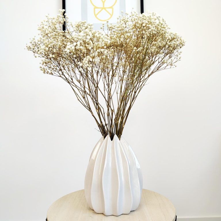 Gipsówka stabilizowana wiecznie żywa biała duży bukiet